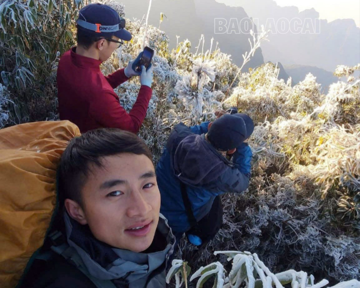 Nhiệt độ trên đỉnh Fansipan xuống âm 6 độ C, cây cối đóng băng trắng xóa