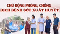 Chủ động phòng, chống dịch bệnh sốt xuất huyết