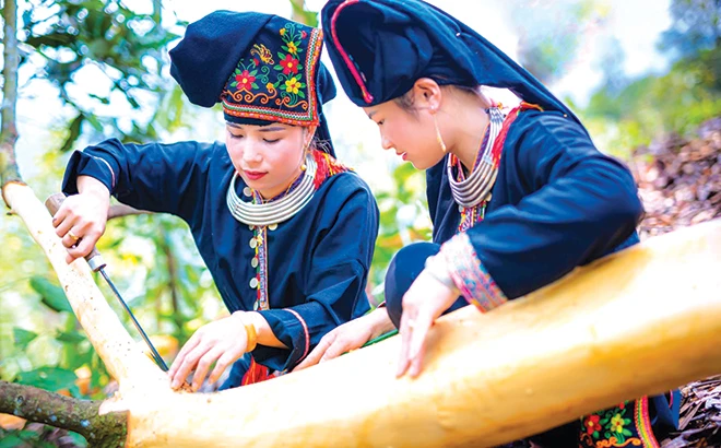 Về nơi cội nguồn đất quế ảnh 1