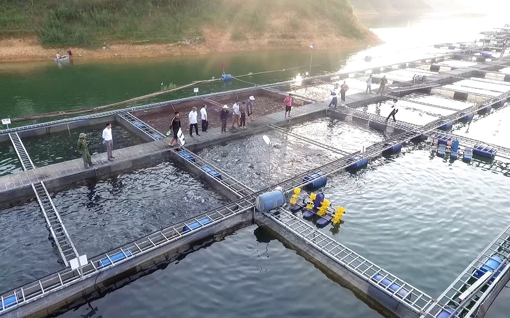 Bài 2: Thành tựu ở Yên Bái ảnh 1