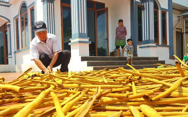 Yên Bái gần nửa nhiệm kỳ nâng cao chỉ số hạnh phúc người dân ảnh 2 Yên Bái gần nửa nhiệm kỳ nâng cao chỉ số hạnh phúc người dân ảnh 2