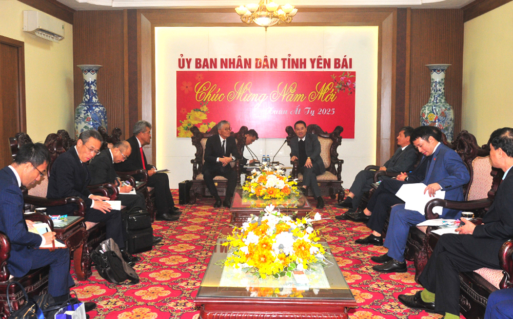 UBND tỉnh Yên Bái làm việc với Công ty cổ phần Erex (Nhật Bản) ảnh 1