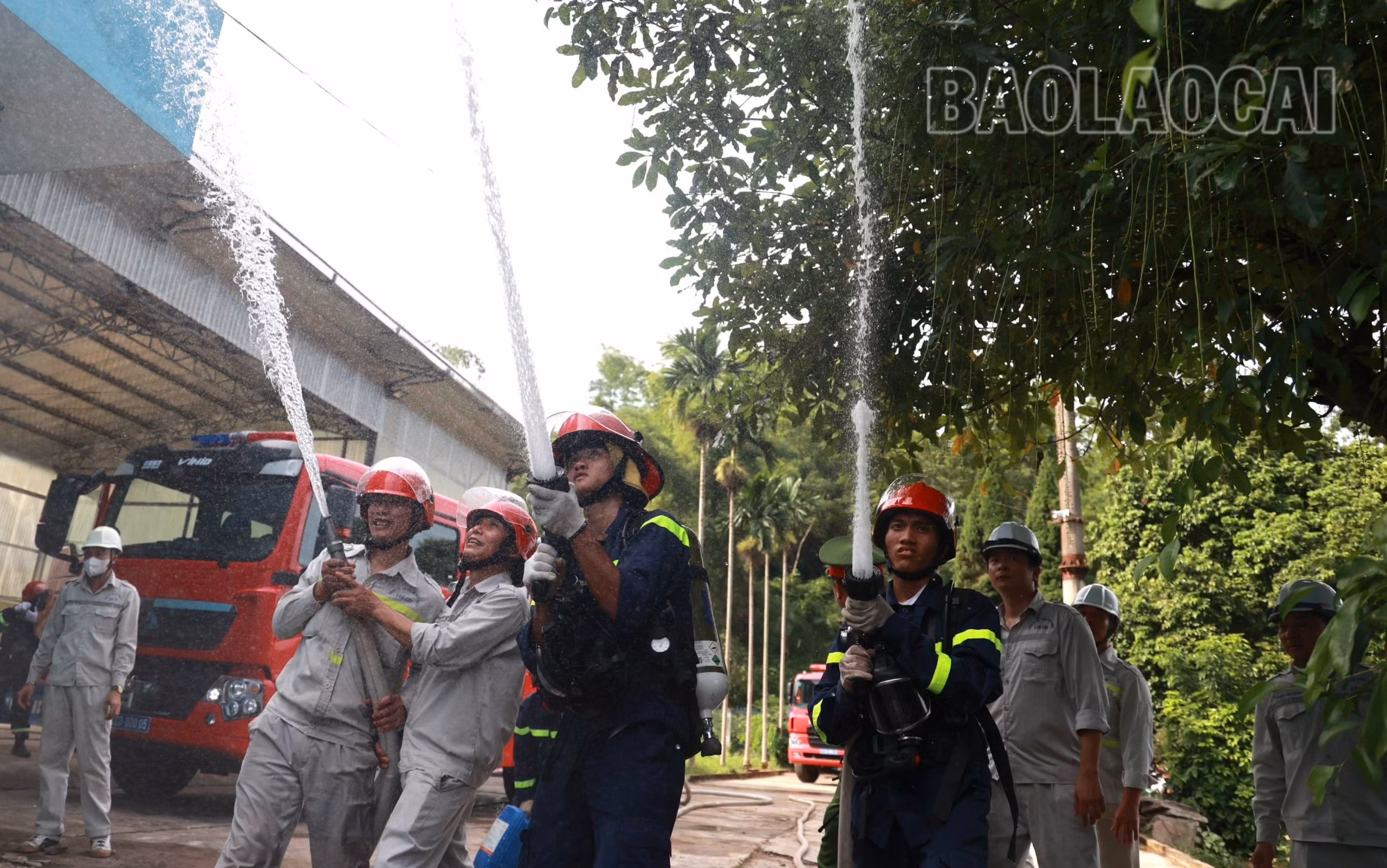 đa lực lượng.jpg