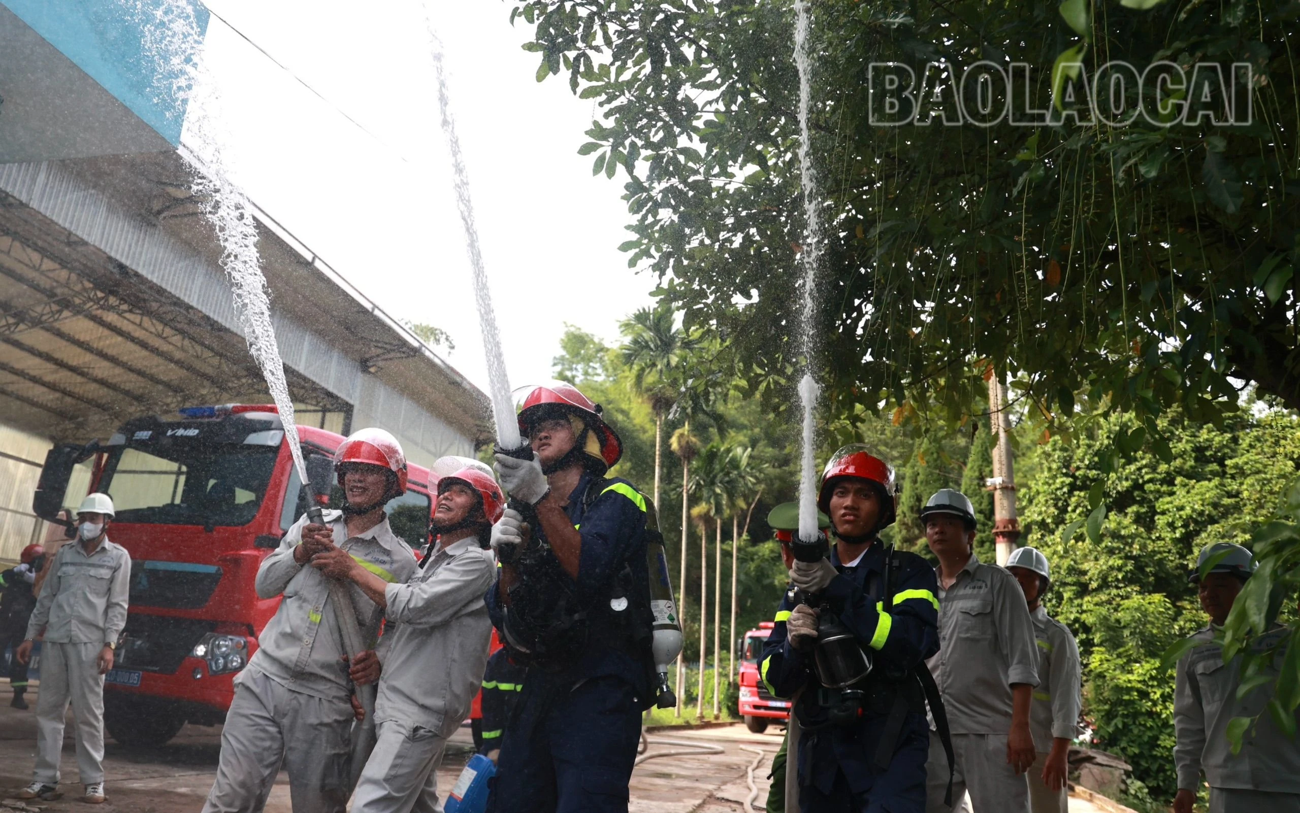 đa lực lượng.jpg