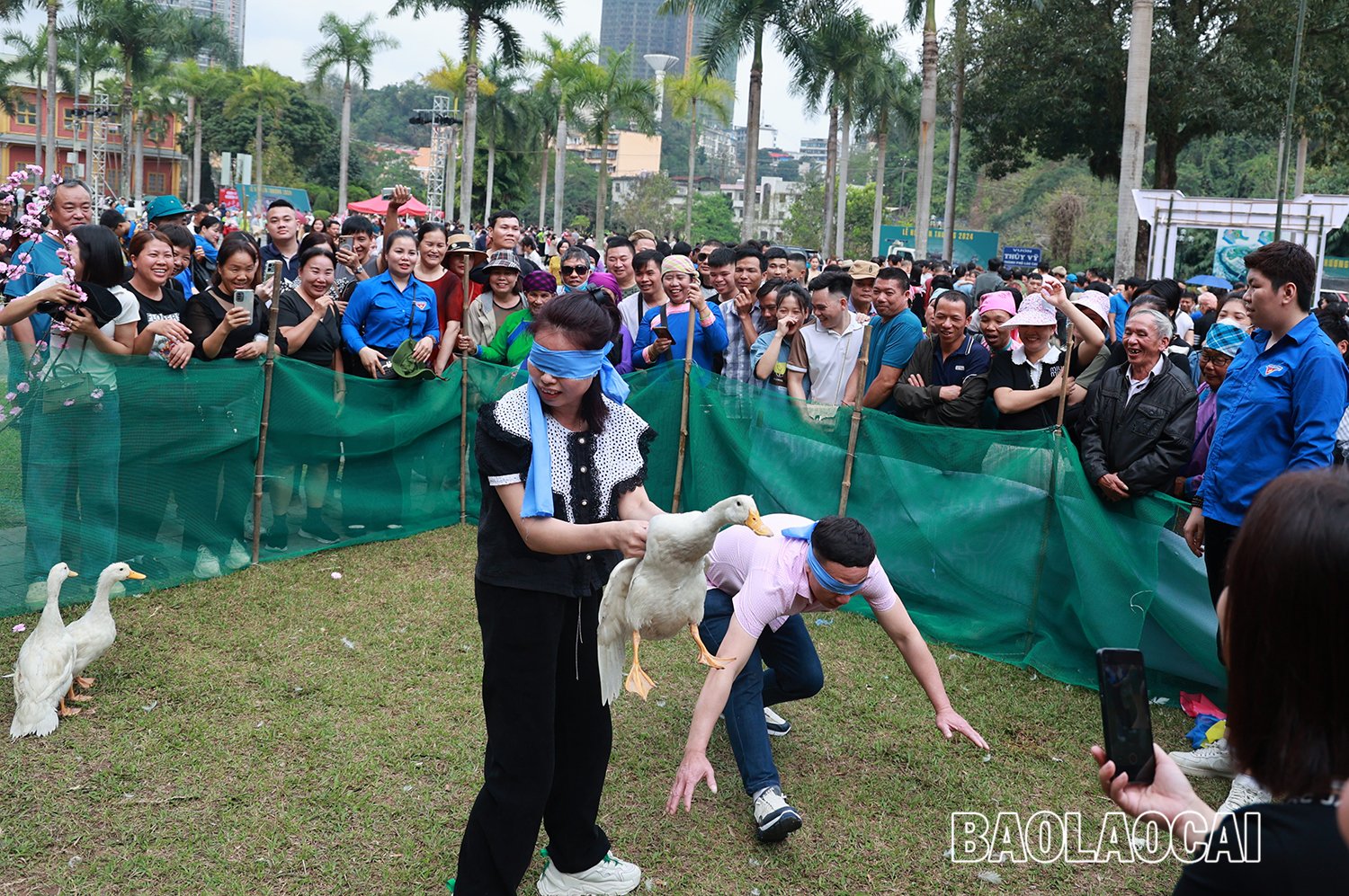 bịt mắt bắt vịt 2.jpg