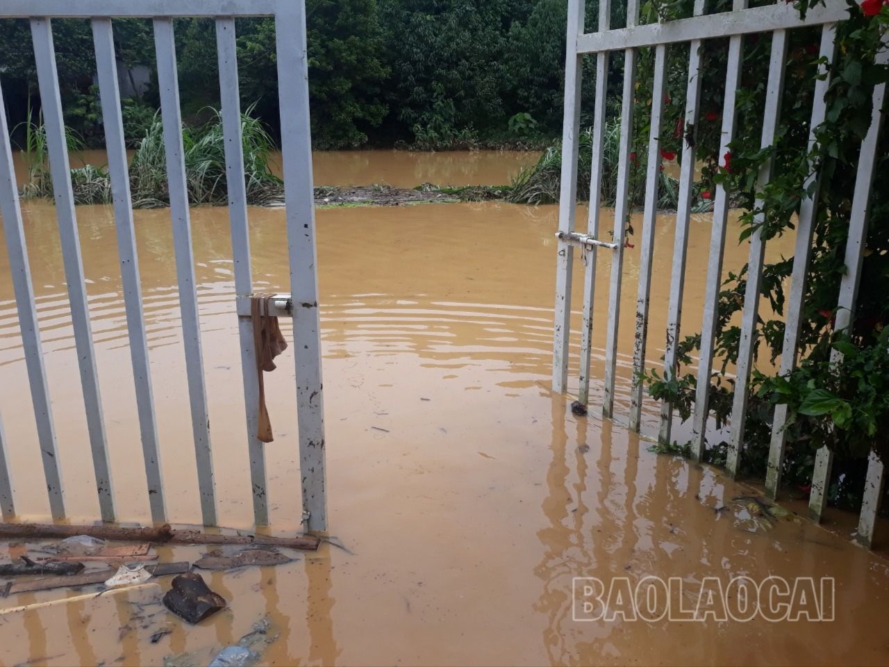 Mưa cường suất lớn gây ngập lụt cục bộ. ngập ở xuân quang.jpg