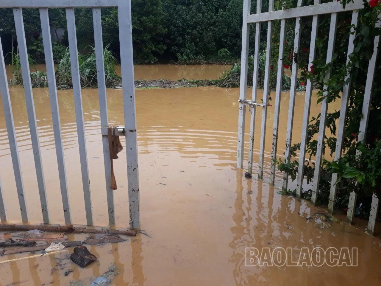 ngập ở xuân quang.jpg