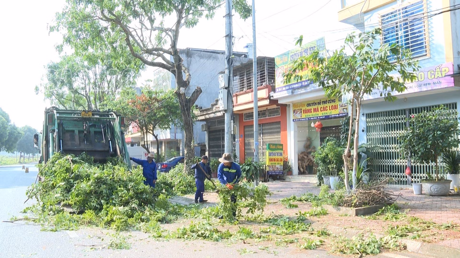 chặt cây xanh.jpg