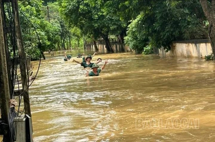 ngập xuân quang.jpg