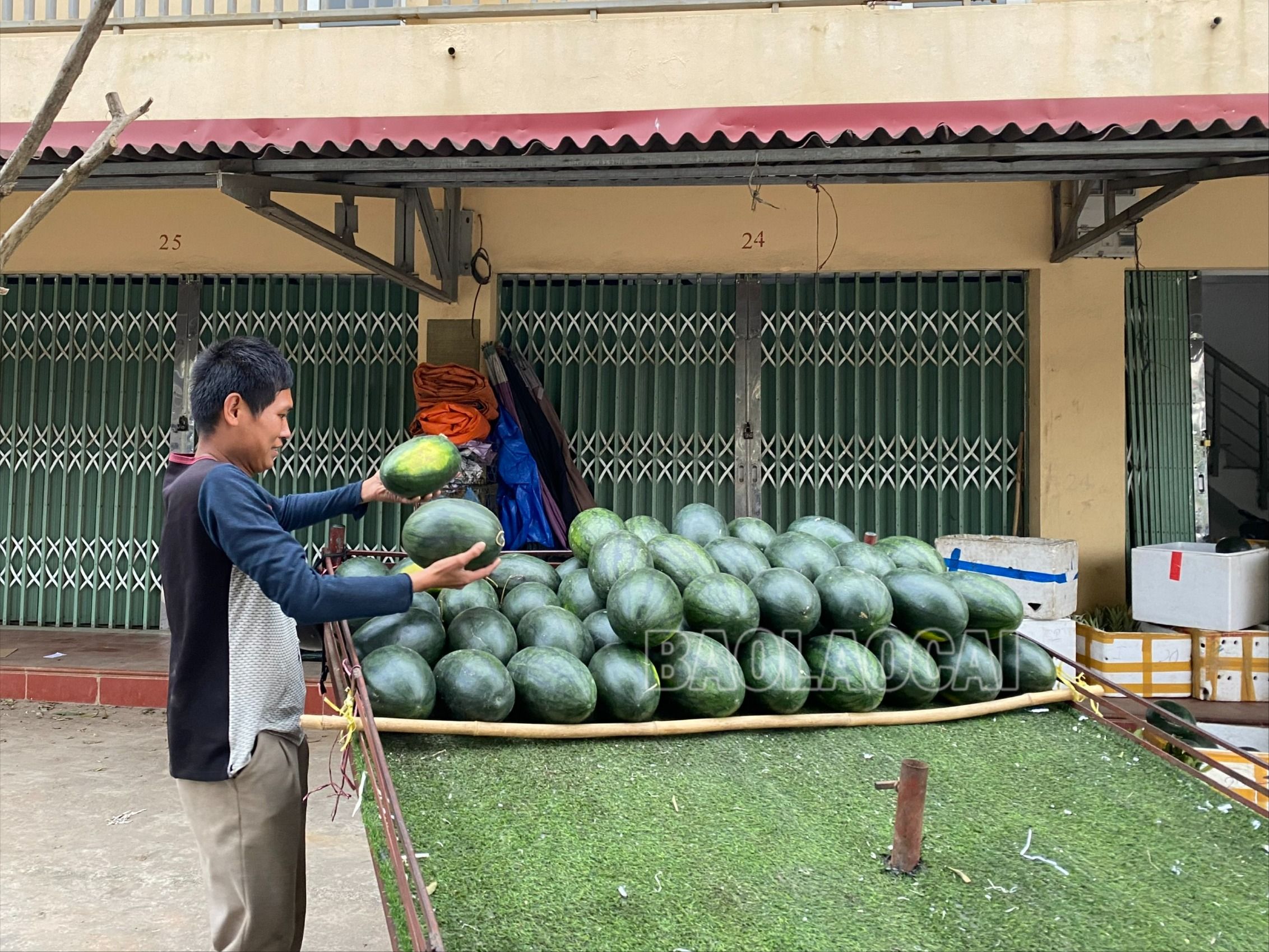 Anh Nguyễn Văn Tiến thuộc số ít tiểu thương tại chợ đầu mối Châu Úy "khai xuân sớm" - từ ngày mùng 6 tháng Giêng. anh tiến.jpg