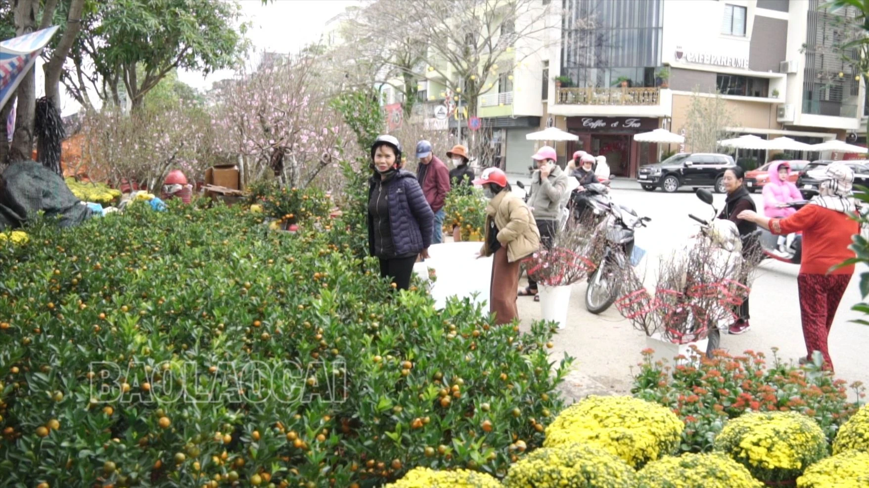 Khách chọn mua hoa.jpg