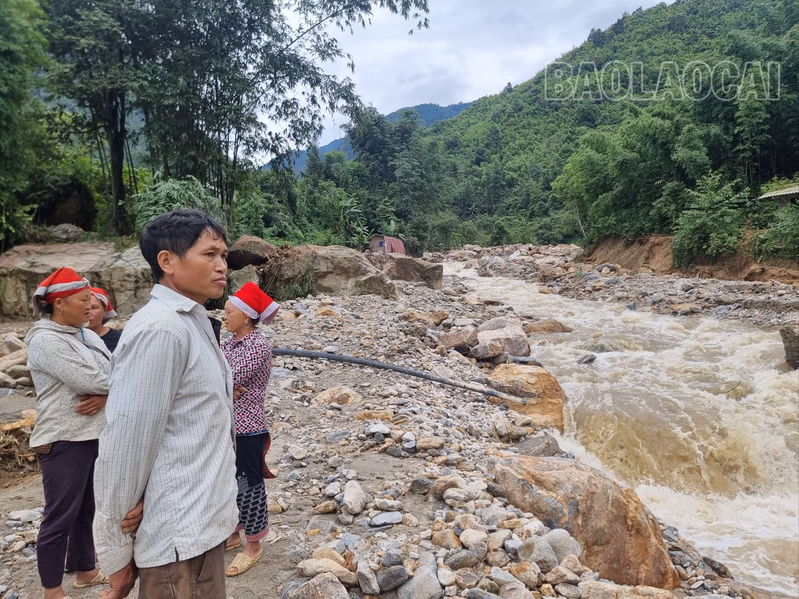 thiệt hại lớn.jpg