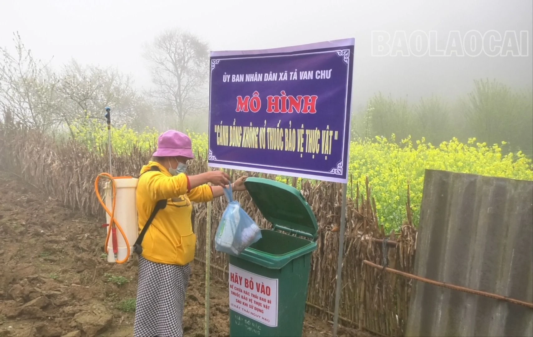 Rác thải nhựa được phân loại để nâng cao hiệu quả xử lý, góp phần bảo vệ môi trường (2).jpg