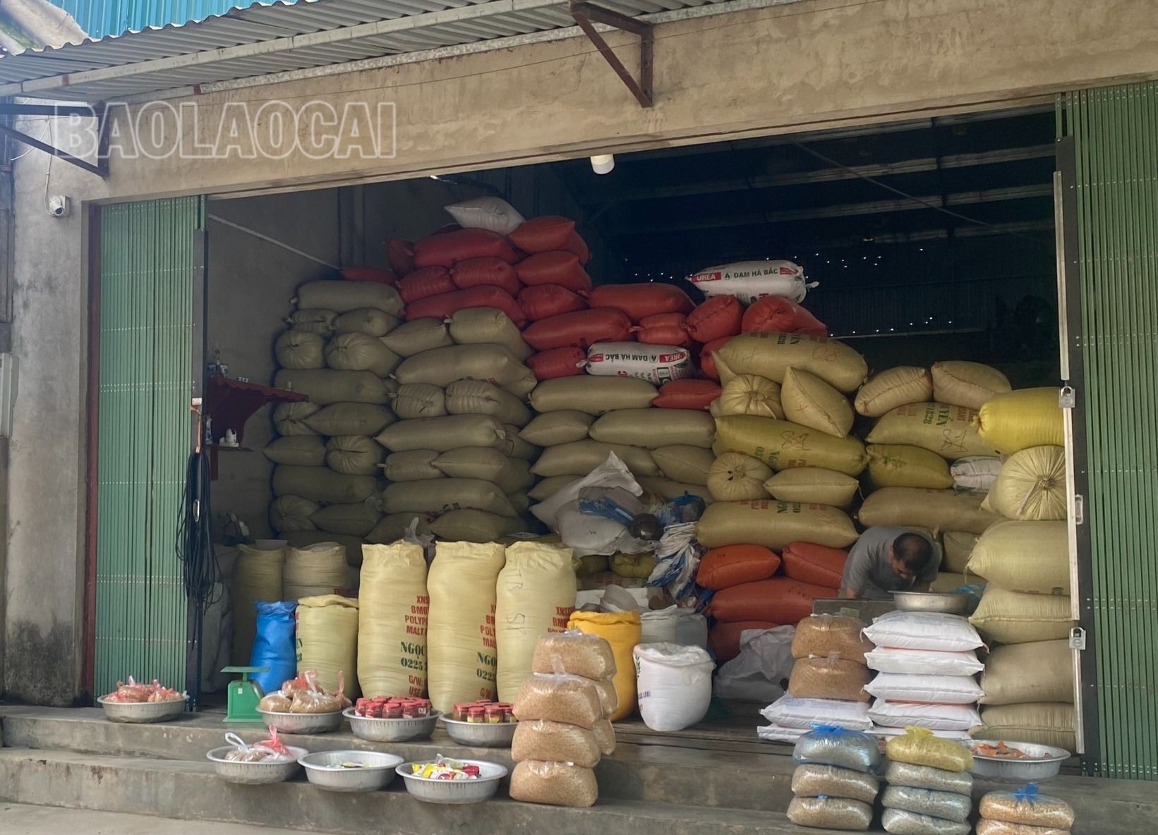 Giá gạo tăng ảnh hưởng trực tiếp đến các cơ sở có mức tiêu thụ lớn. cửa hàng gạo.jpg