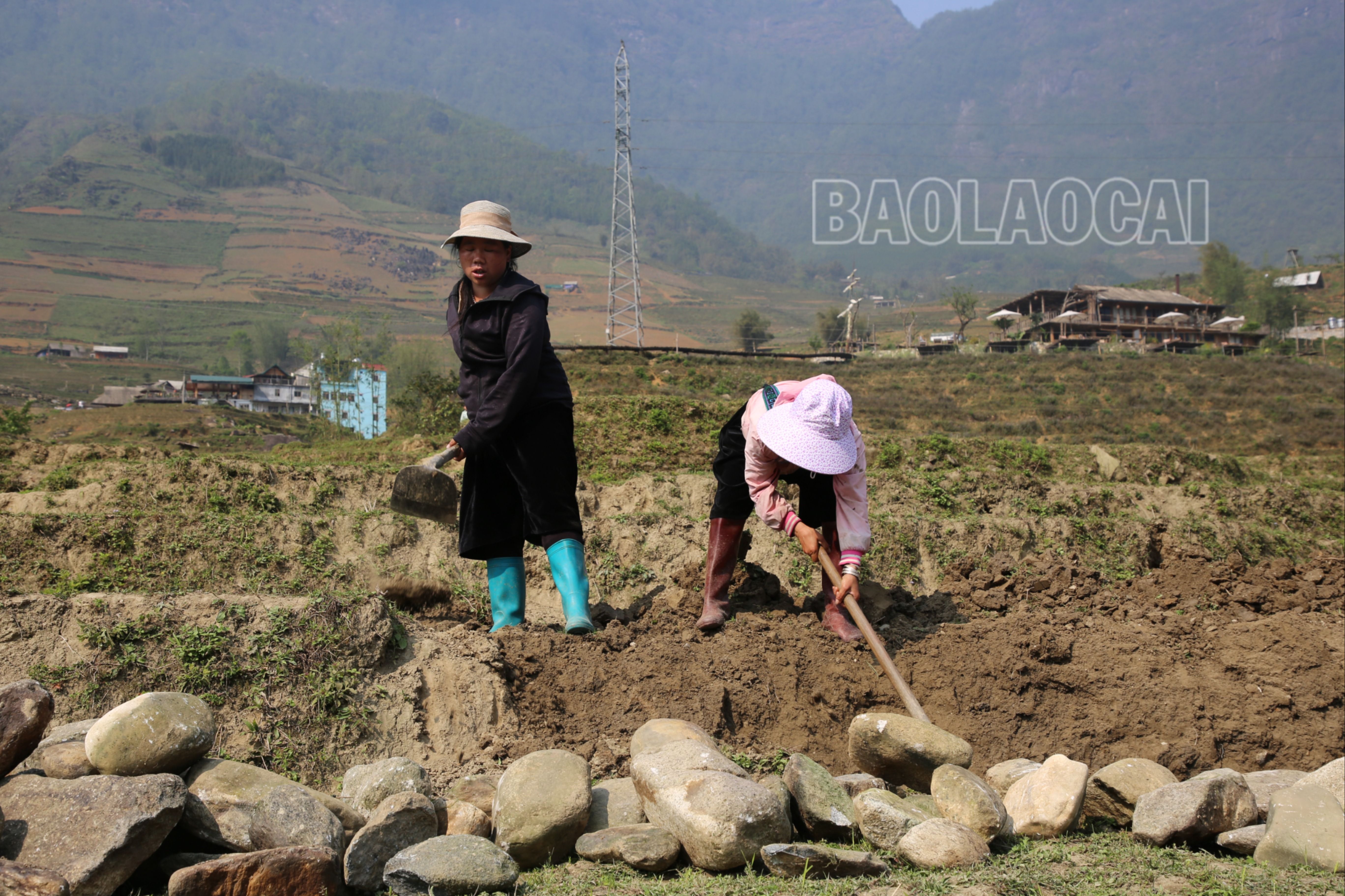 Nông dân Sa Pa đợi mưa xuống để bắt tay vào sản xuất vụ lúa duy nhất trong năm. Nông dân Tả Van (Sa Pa) tu sửa công trình thủy lợi trước mùa sản xuất. Thúy Phượng.4.2023.JPG