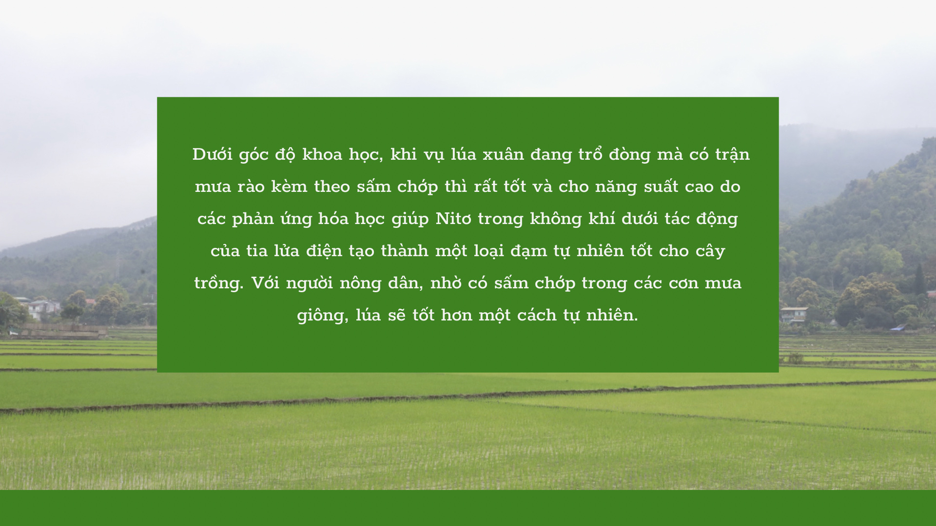 mua4.jpg