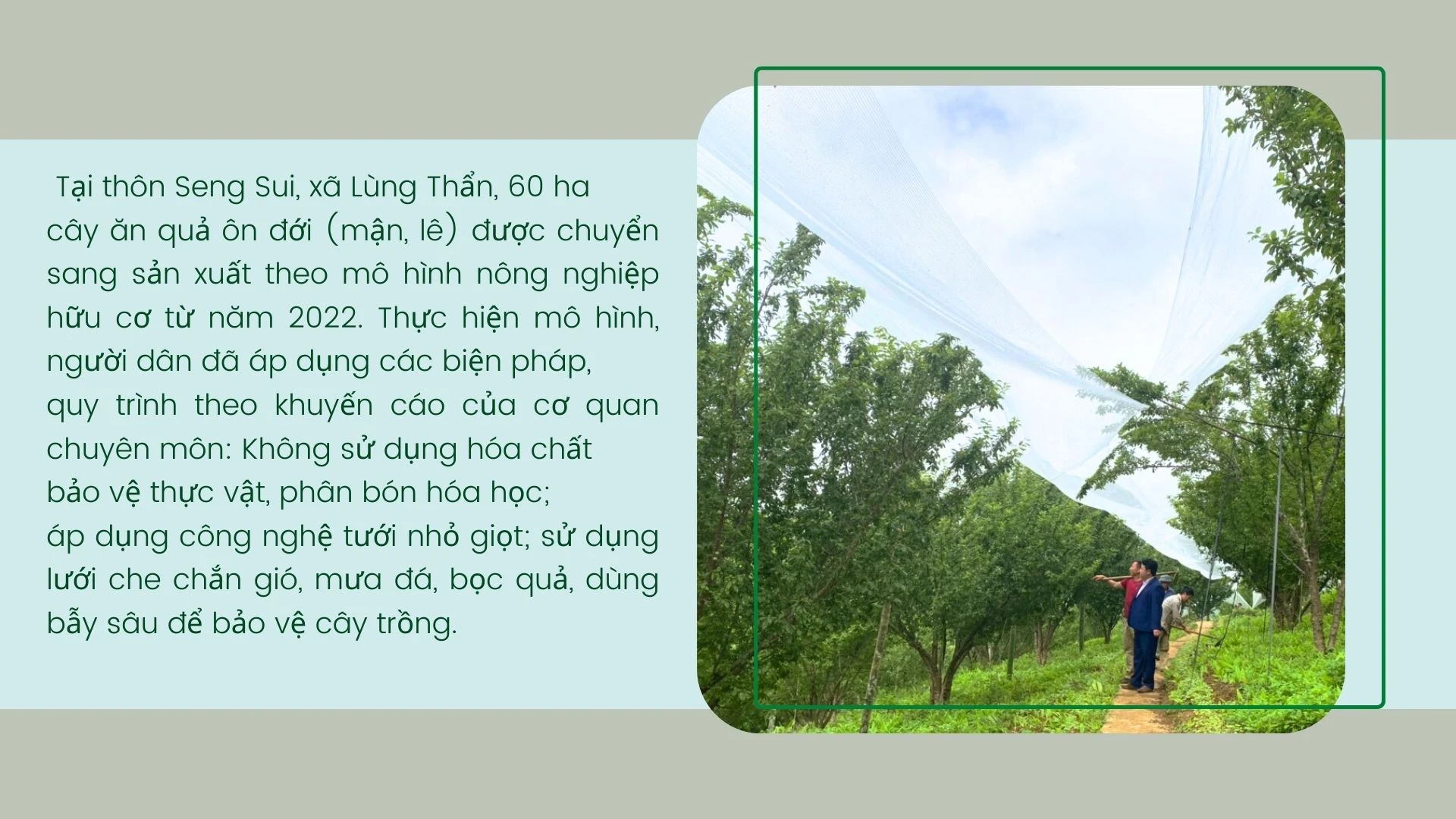 anh thay the.jpg