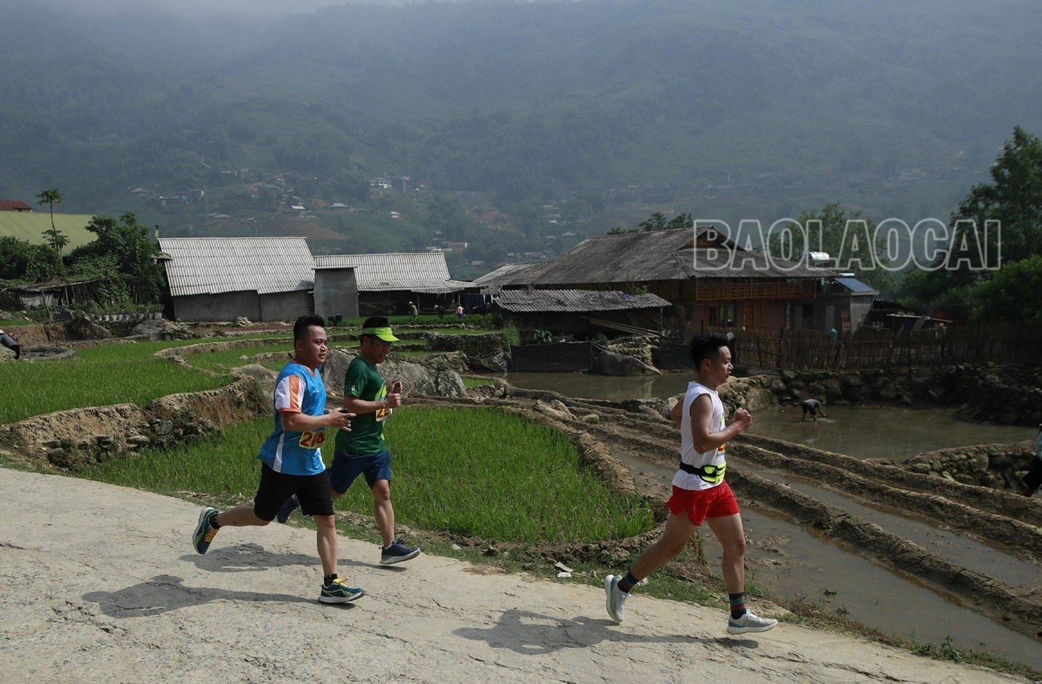 chạy trong thung lũng mùa nước đổ.jpg