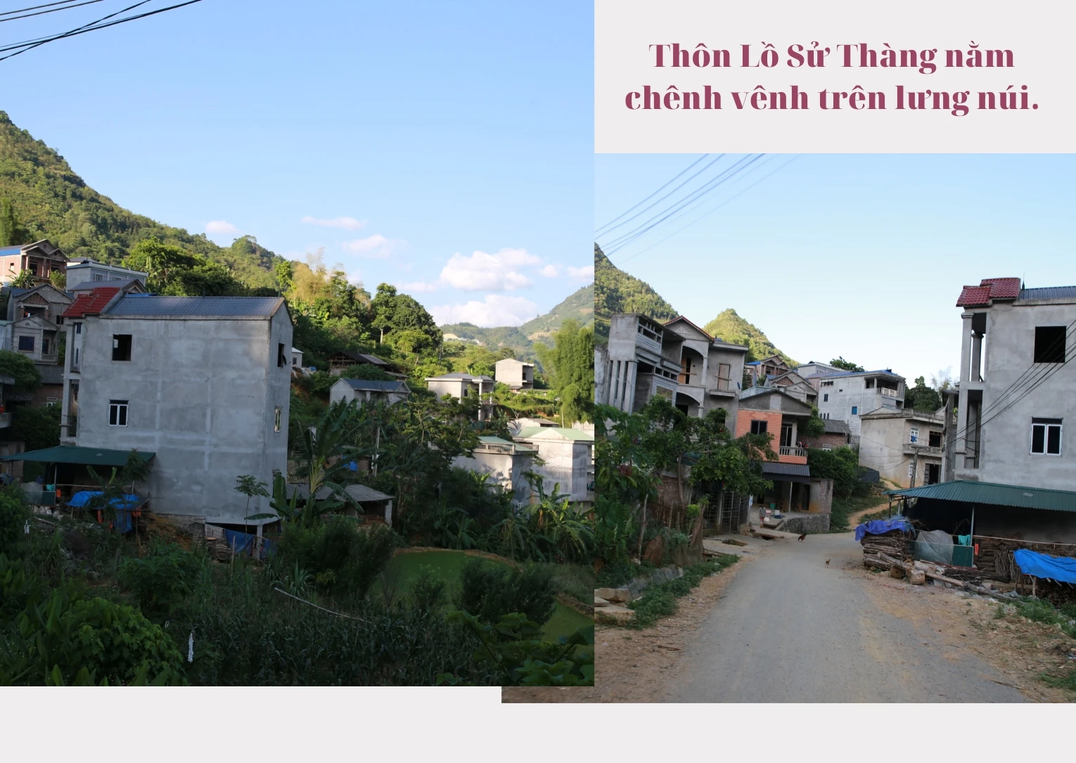 Lồ Sử Thàng.jpg