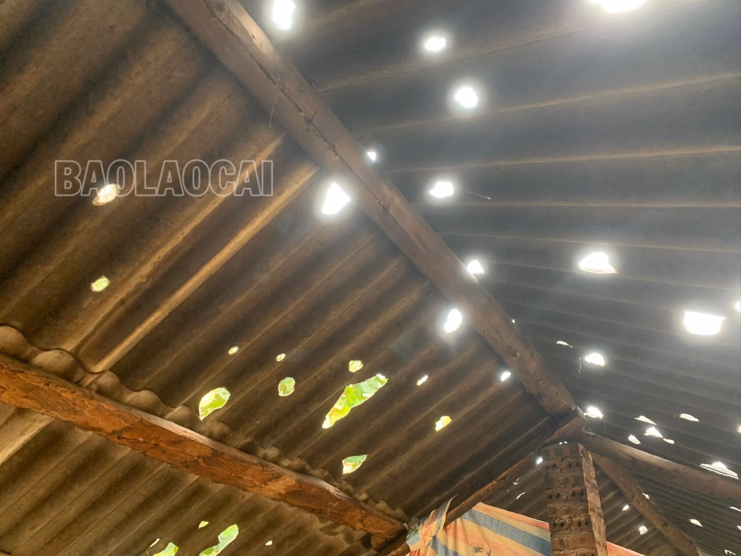 hậu quả mưa đá