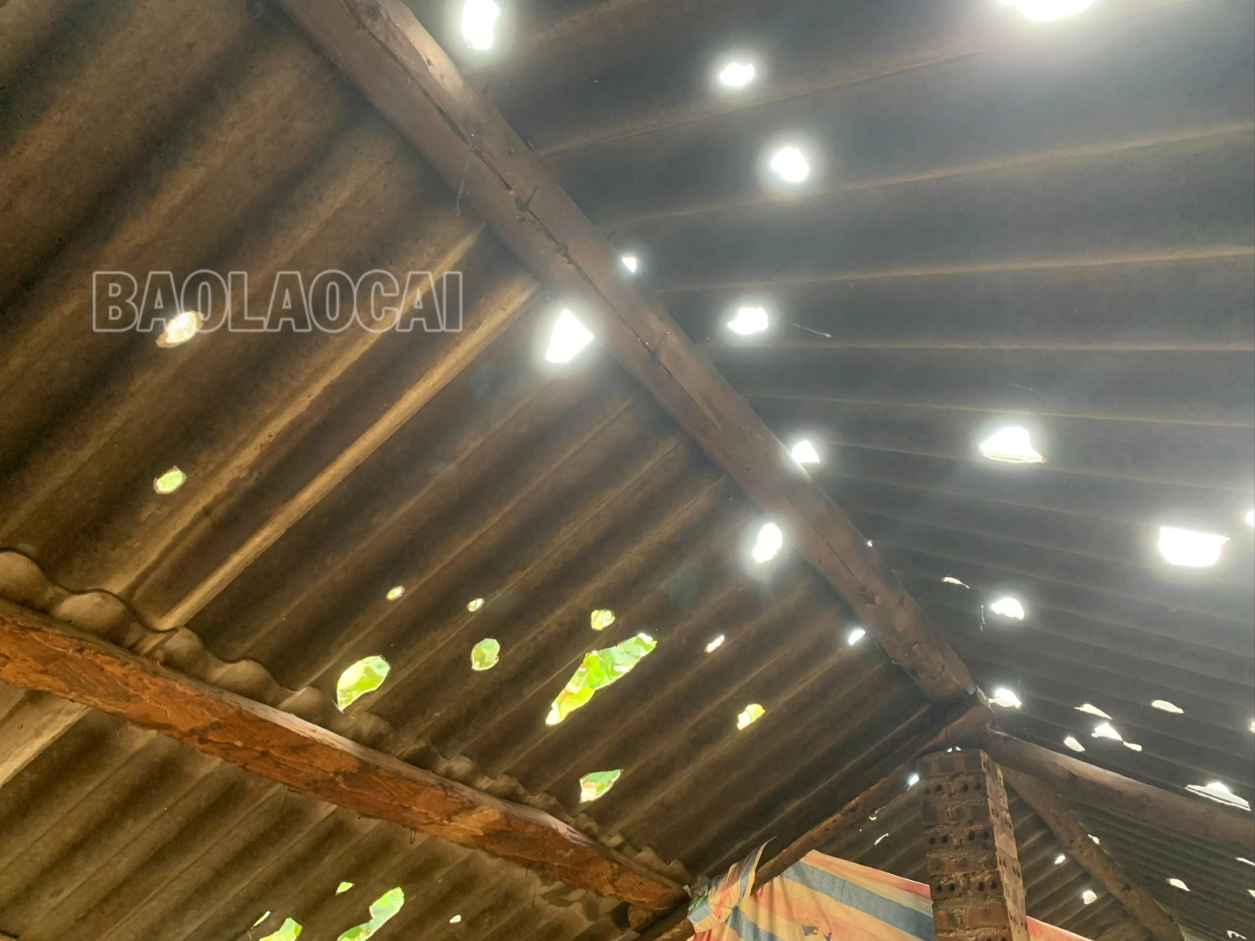 hậu quả mưa đá