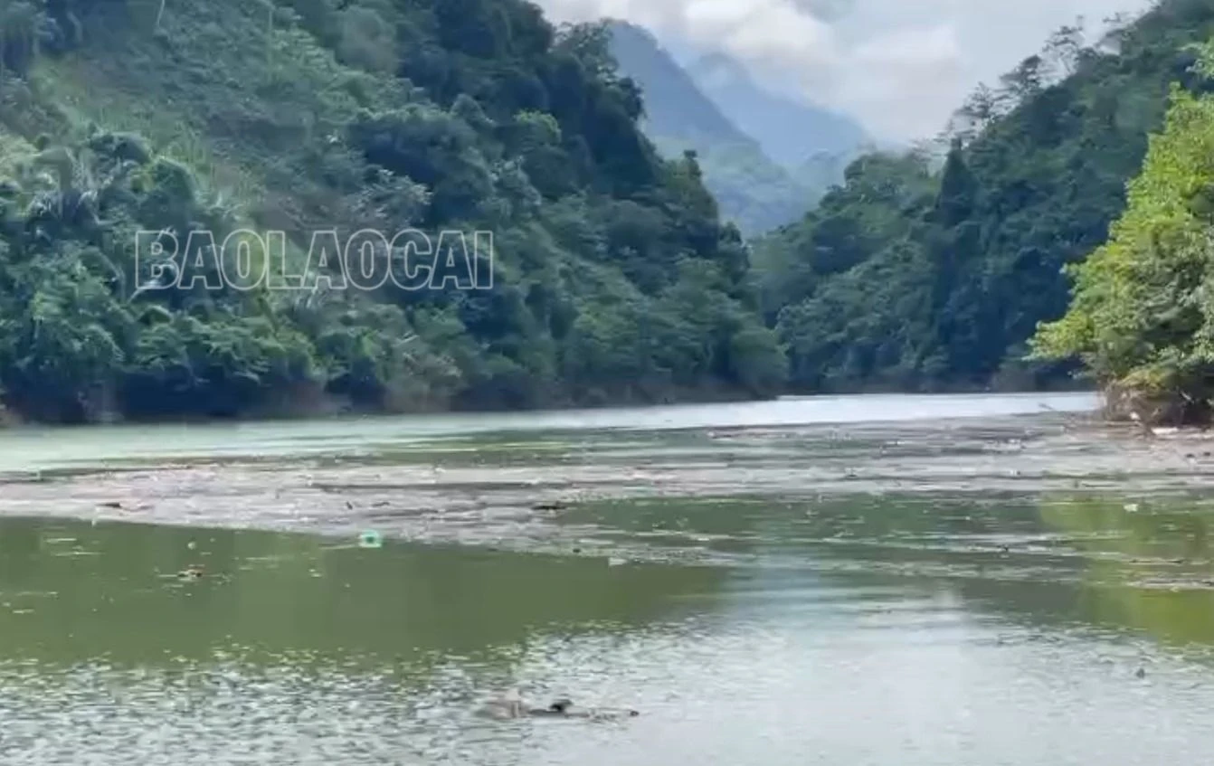 rác trôi nổi phương tiện giao thông đường thủy khó di chuyển.jpg