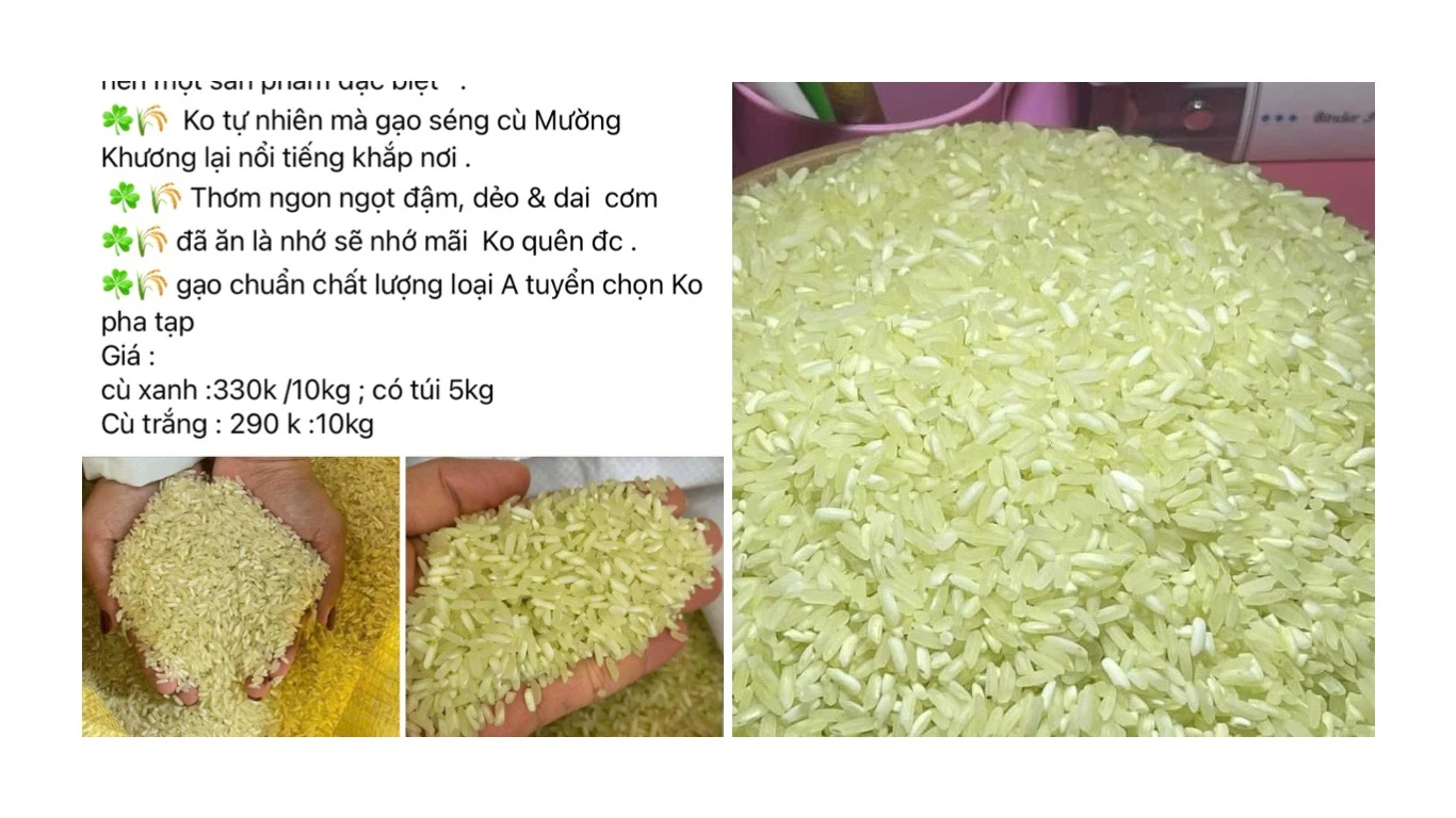 đầy rẫy bài đăng quảng cáo gạo séng cù xanh trên mạng xã hội.jpg