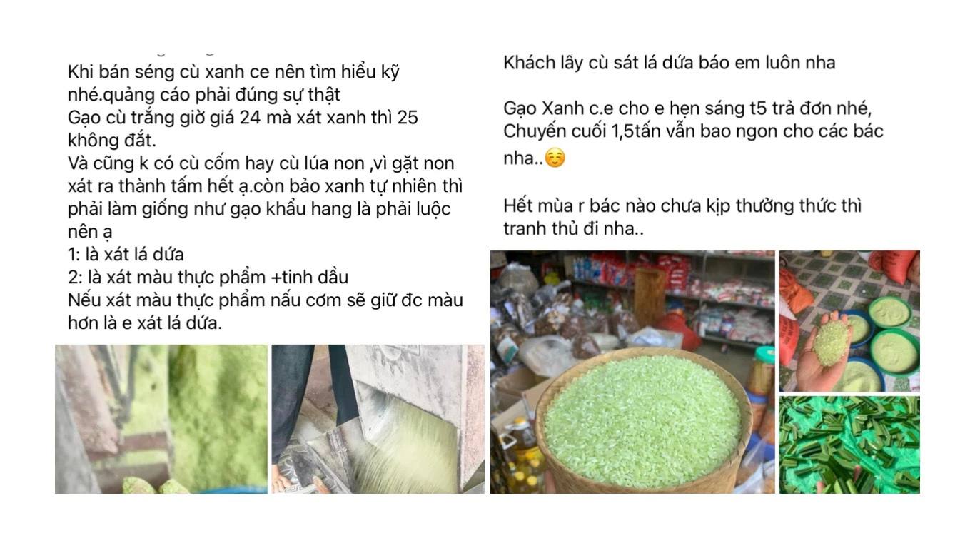 Nhiều cơ sở xay xát khẳng định màu xanh của gạo được nhuộm bởi lá dứa.jpg