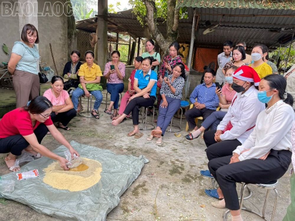 Tập huấn kỹ thuật phối trộn thức ăn cho hộ dân tham gia mô hình. ảnh tập huấn 2.jpg
