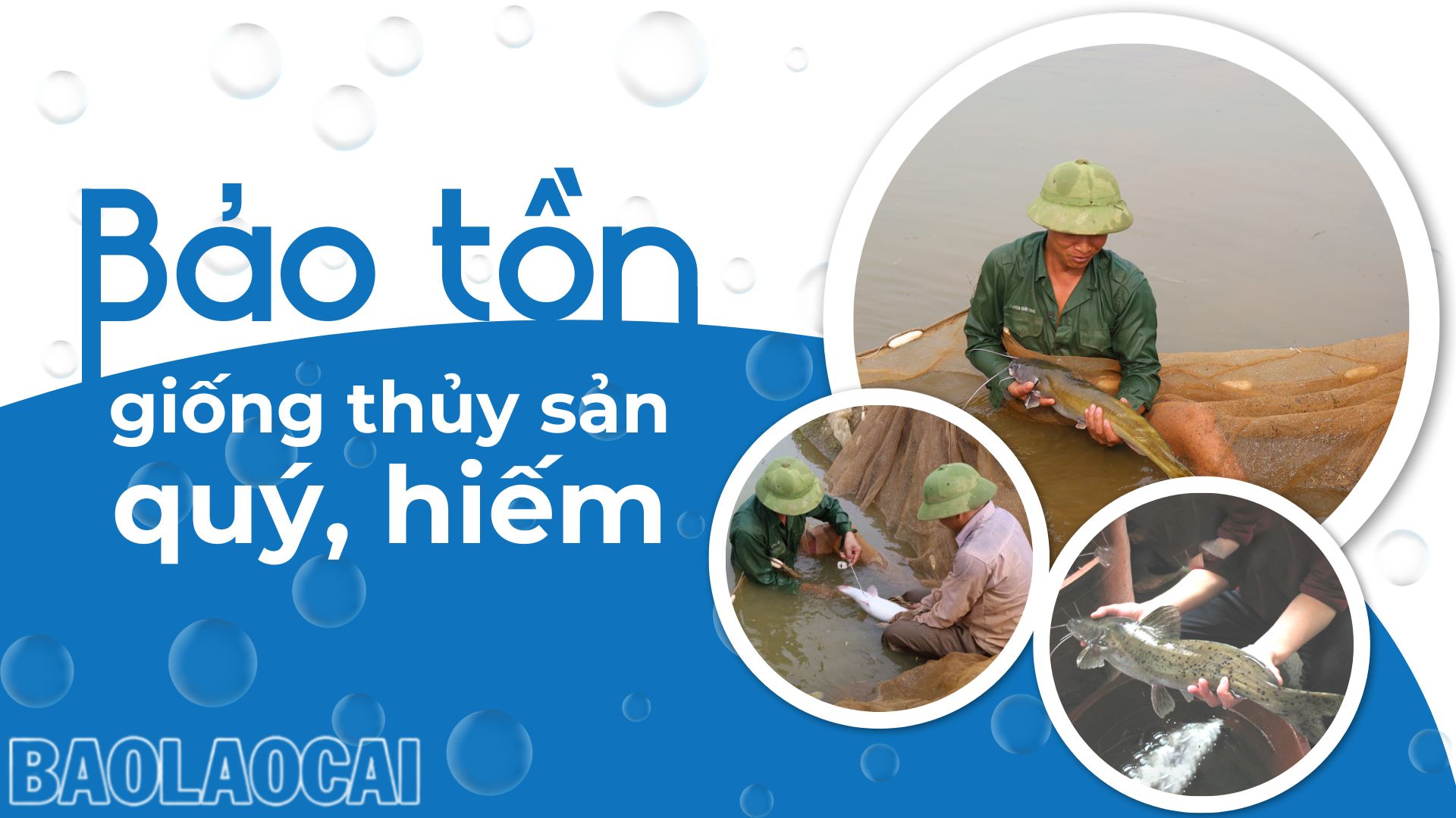 Bảo tồn giống thủy sản quý, hiếm