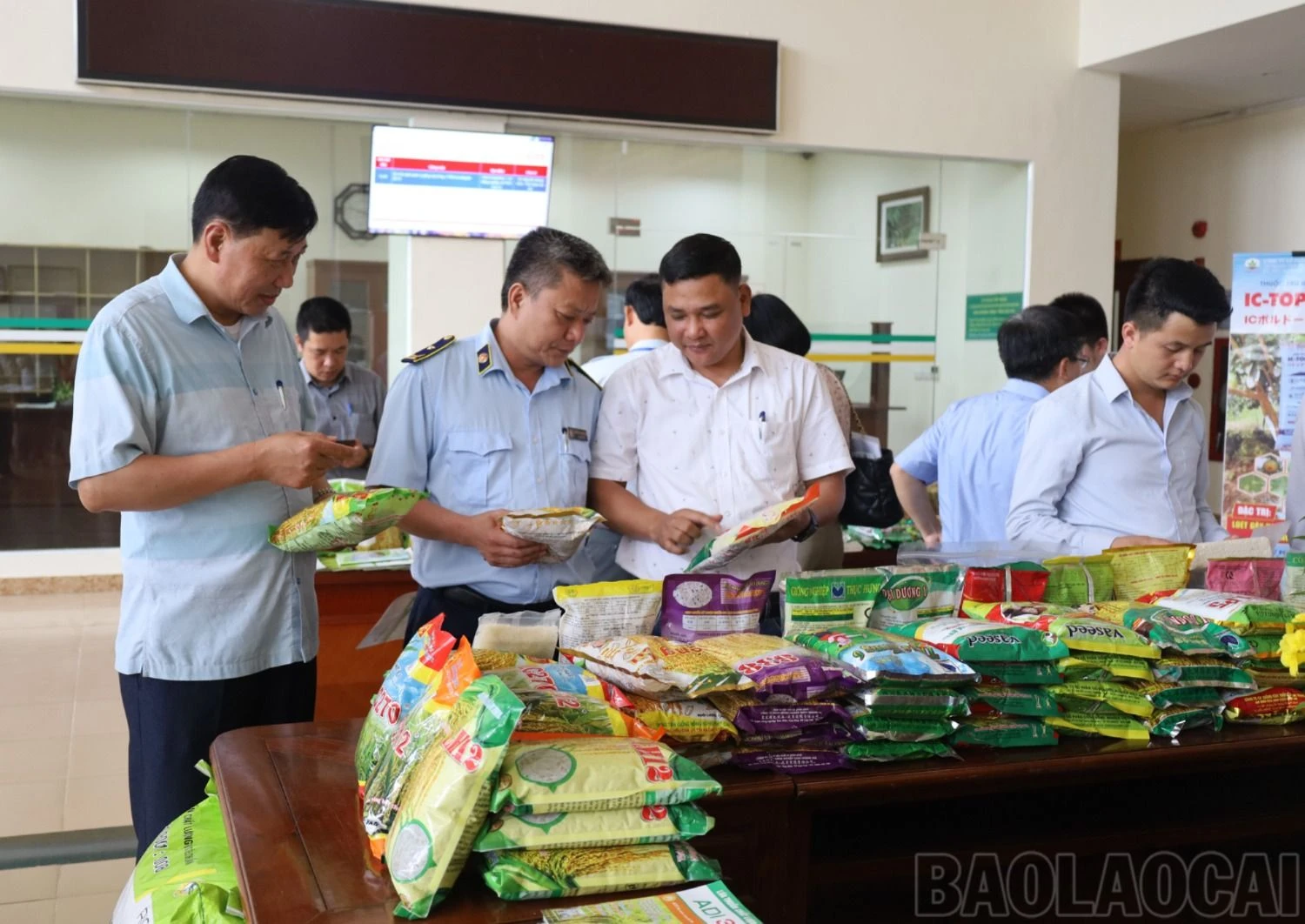 baolaocai.vn_4.jpg