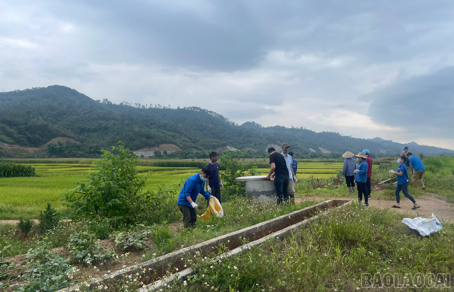 Đông đảo người dân tham gia thu gom vỏ bao, gói thuốc bảo v ệ thực vật. baolaocai_1.jpg