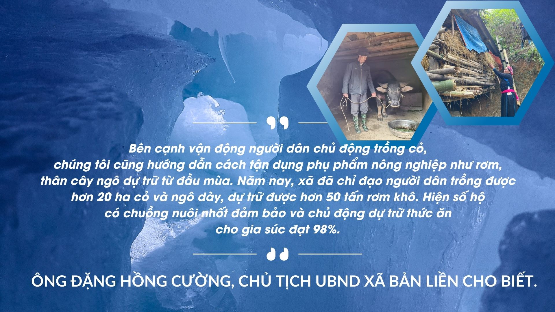 Bảo vệ đàn gia súc trong mùa đông.jpg