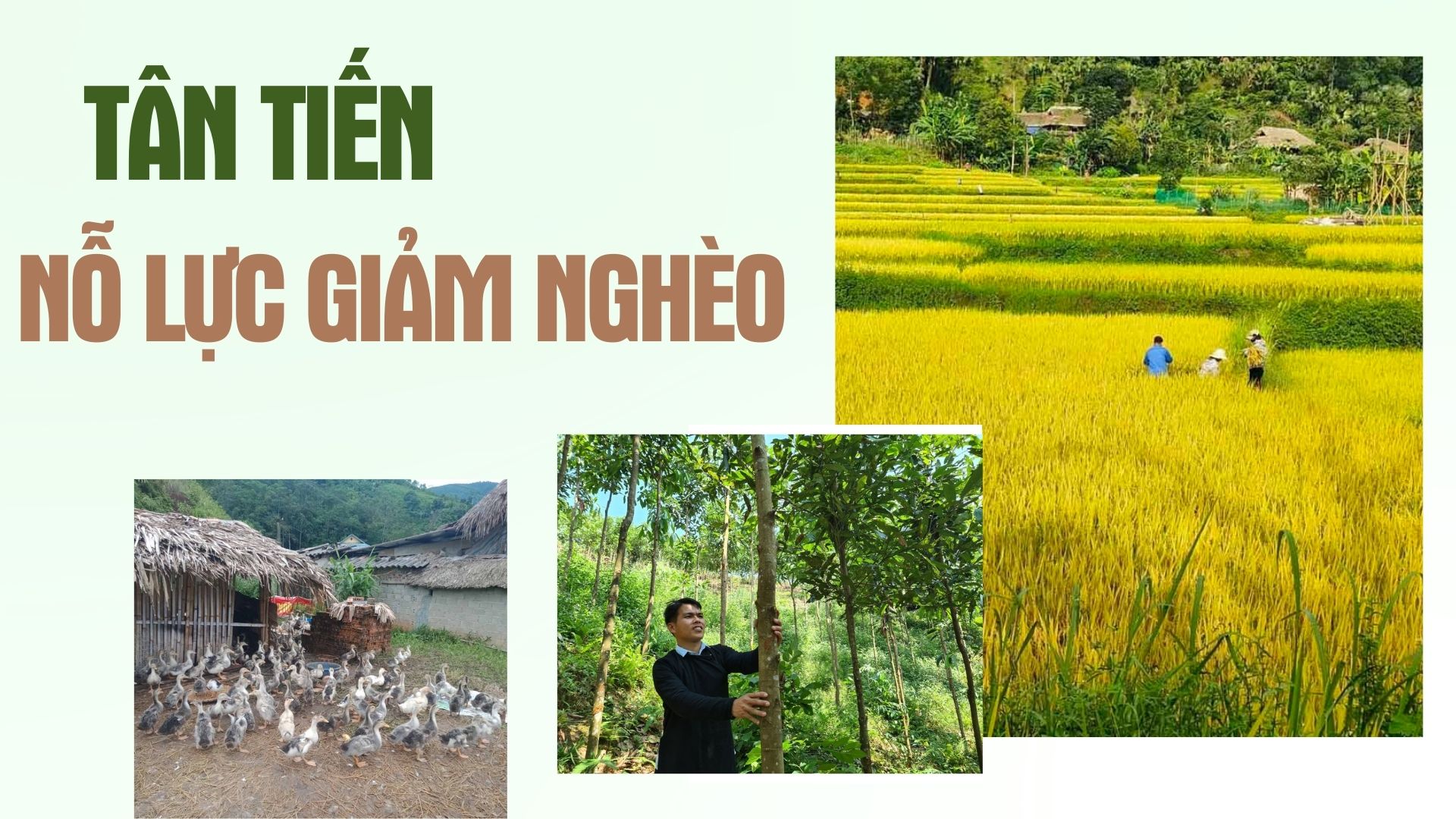 Tân Tiến nỗ lực giảm nghèo