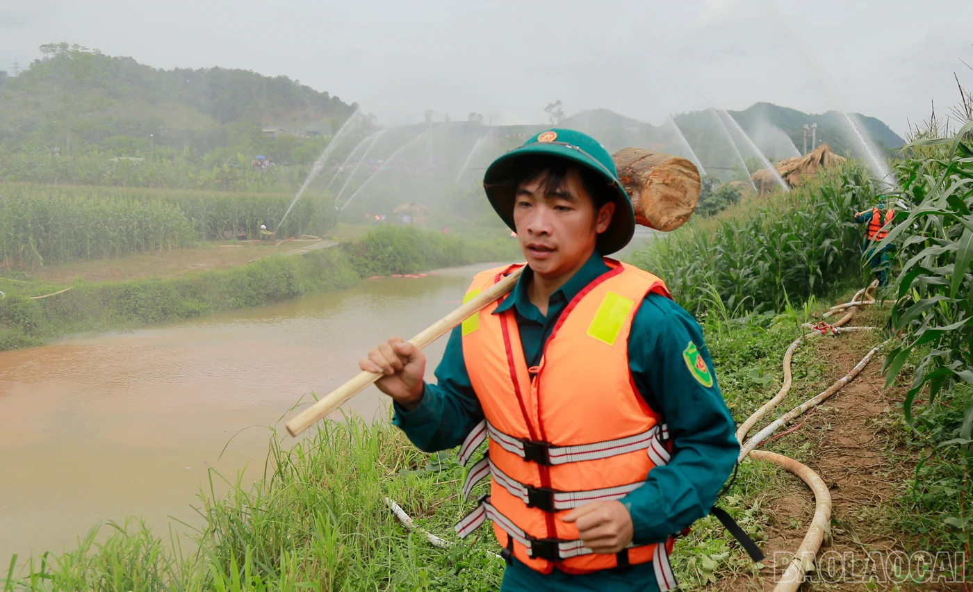 baolaocai_dt (2).JPG