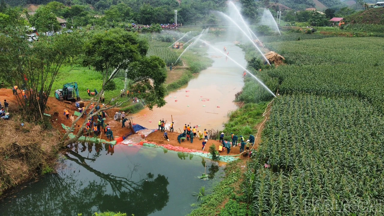 baolaocai_dient (1).jpg