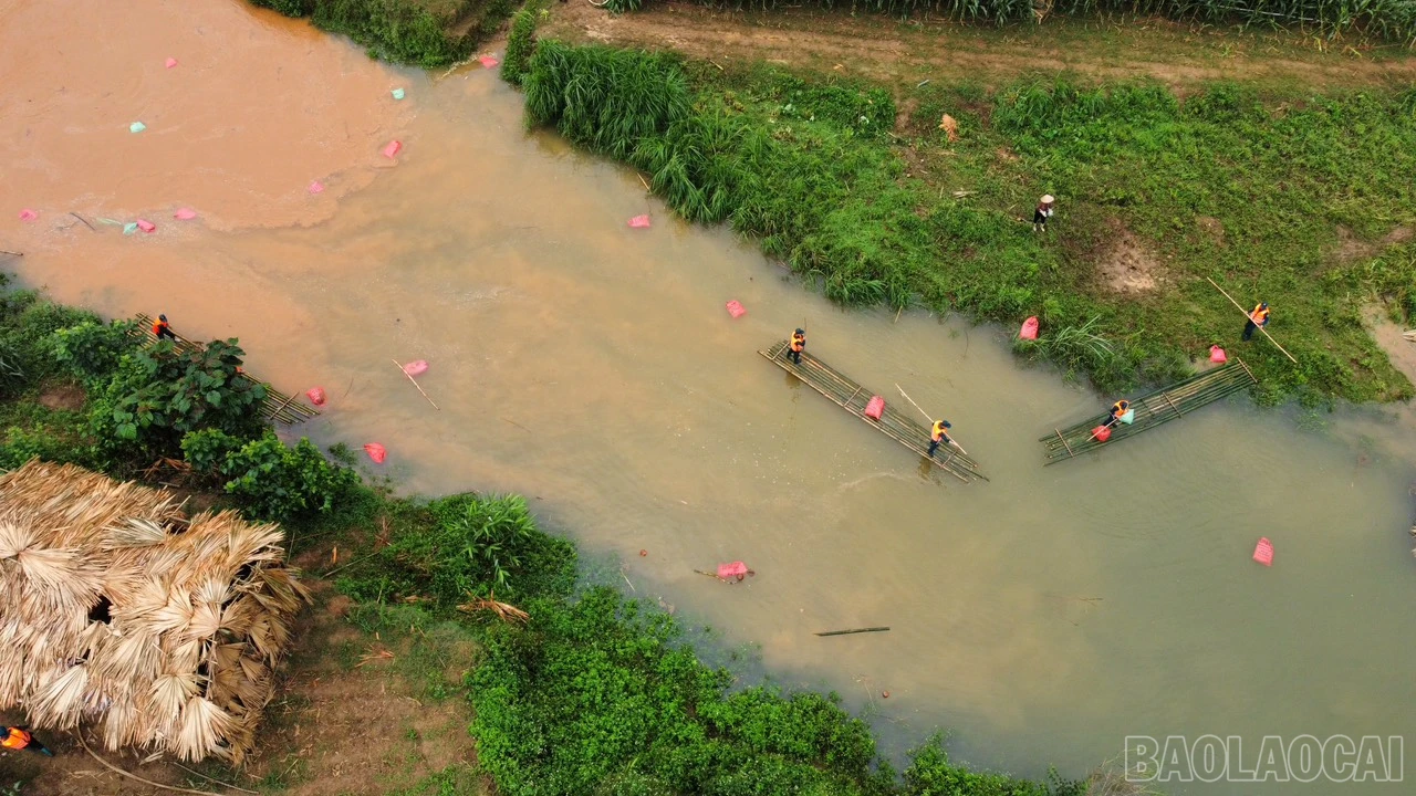 baolaocai_dient (3).jpg