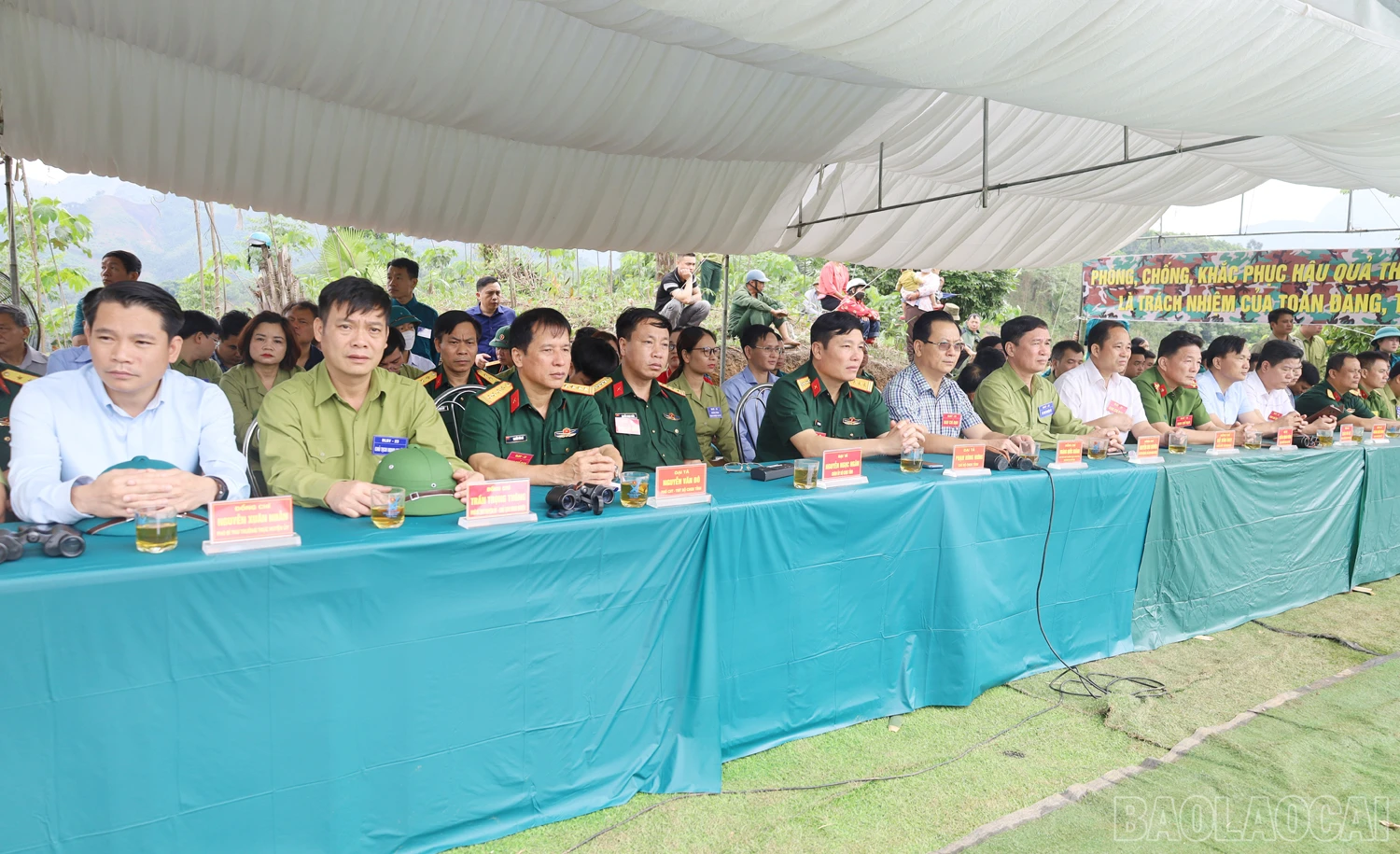 baolaocai_dientap (4).JPG