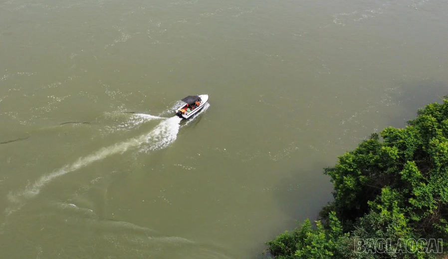 baolaocai_dient (2).jpg