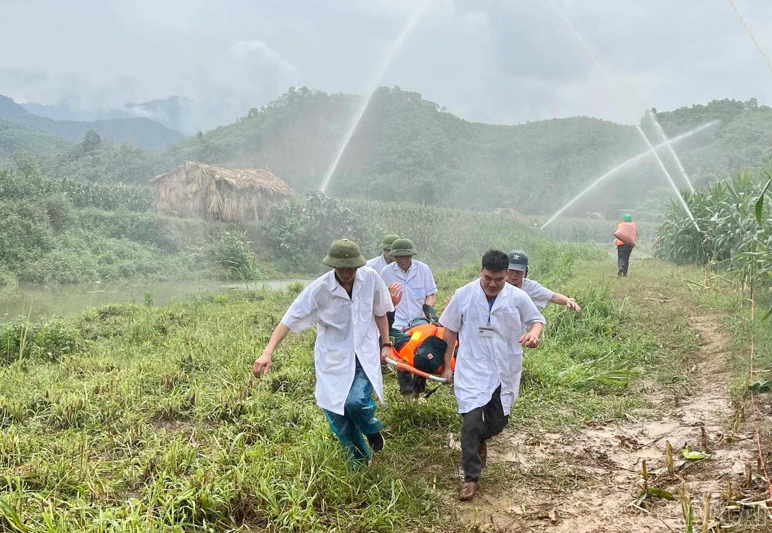 baolaocai_dientap (10).jpg