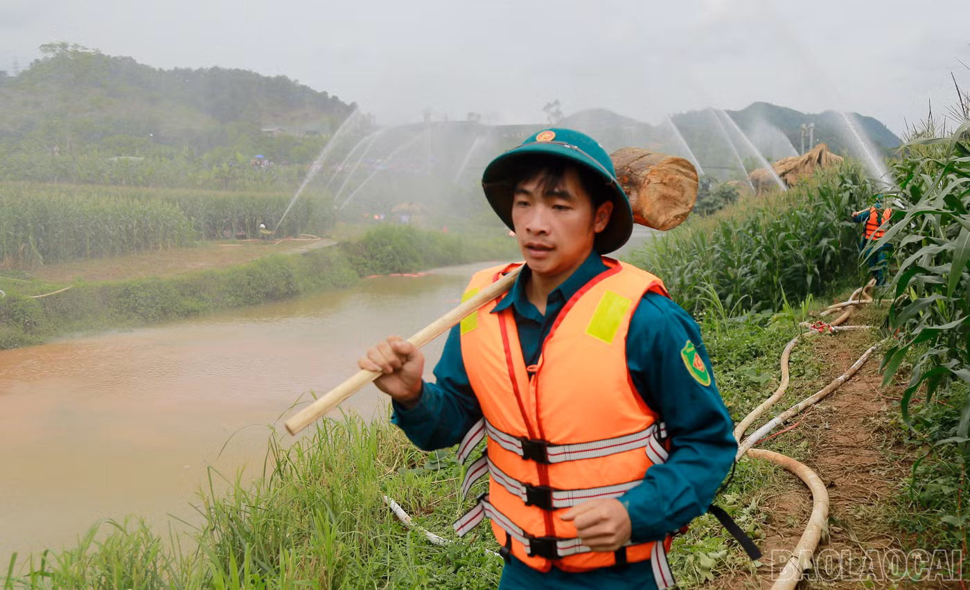 baolaocai_dt (2).JPG