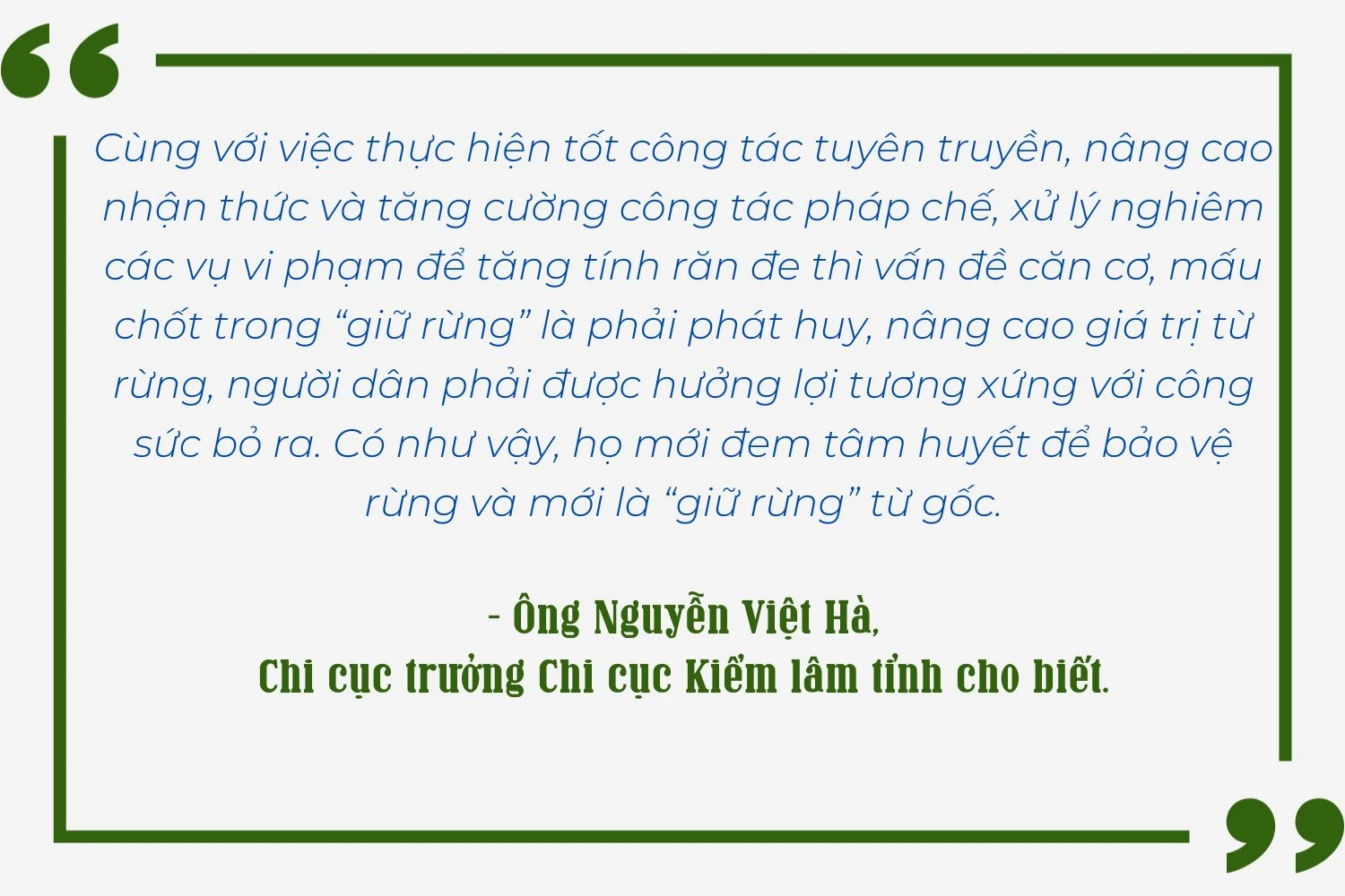 hieu-qua-tu-cay-lam-nghiep-ban-dia-931.jpg