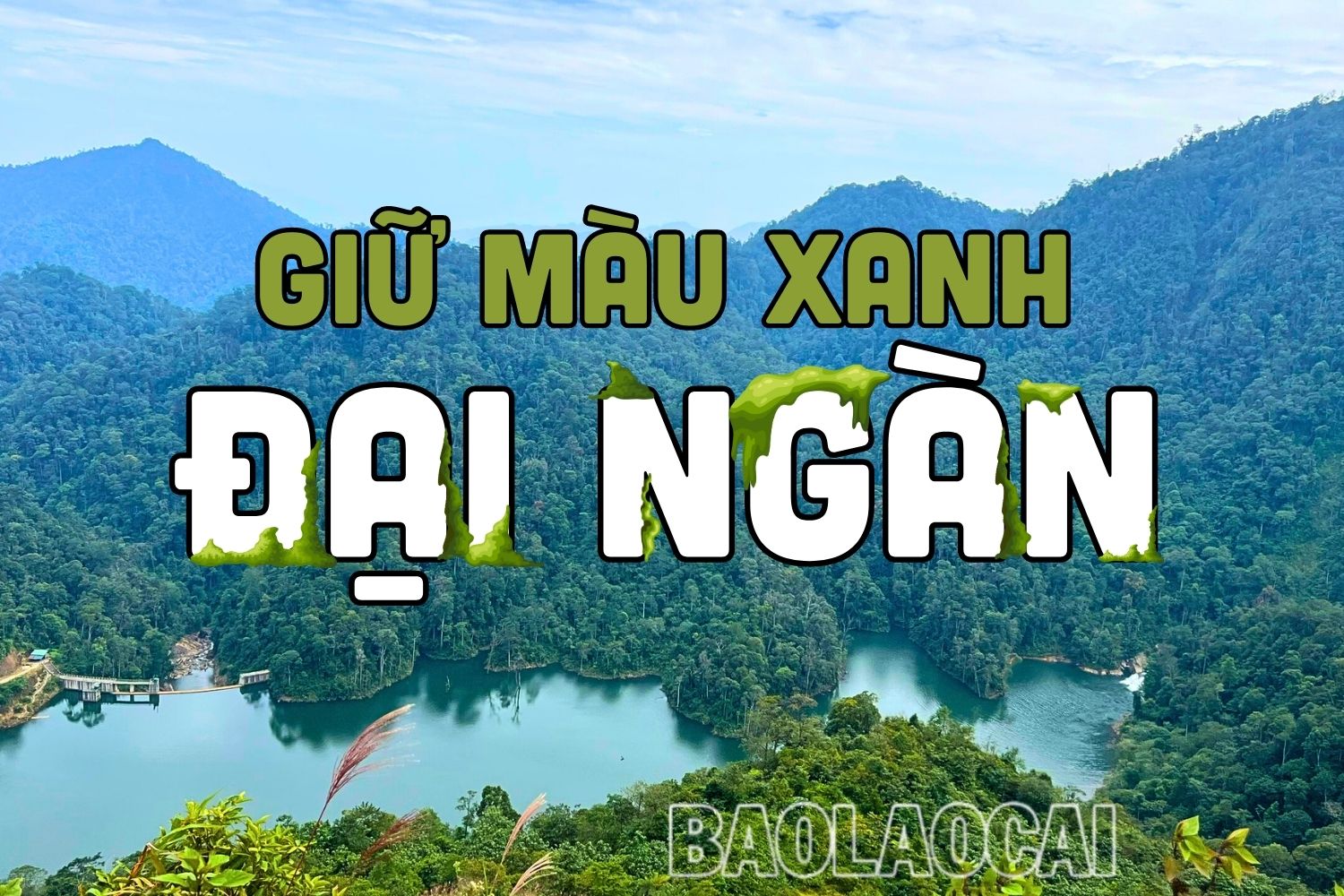 Giữ màu xanh đại ngàn