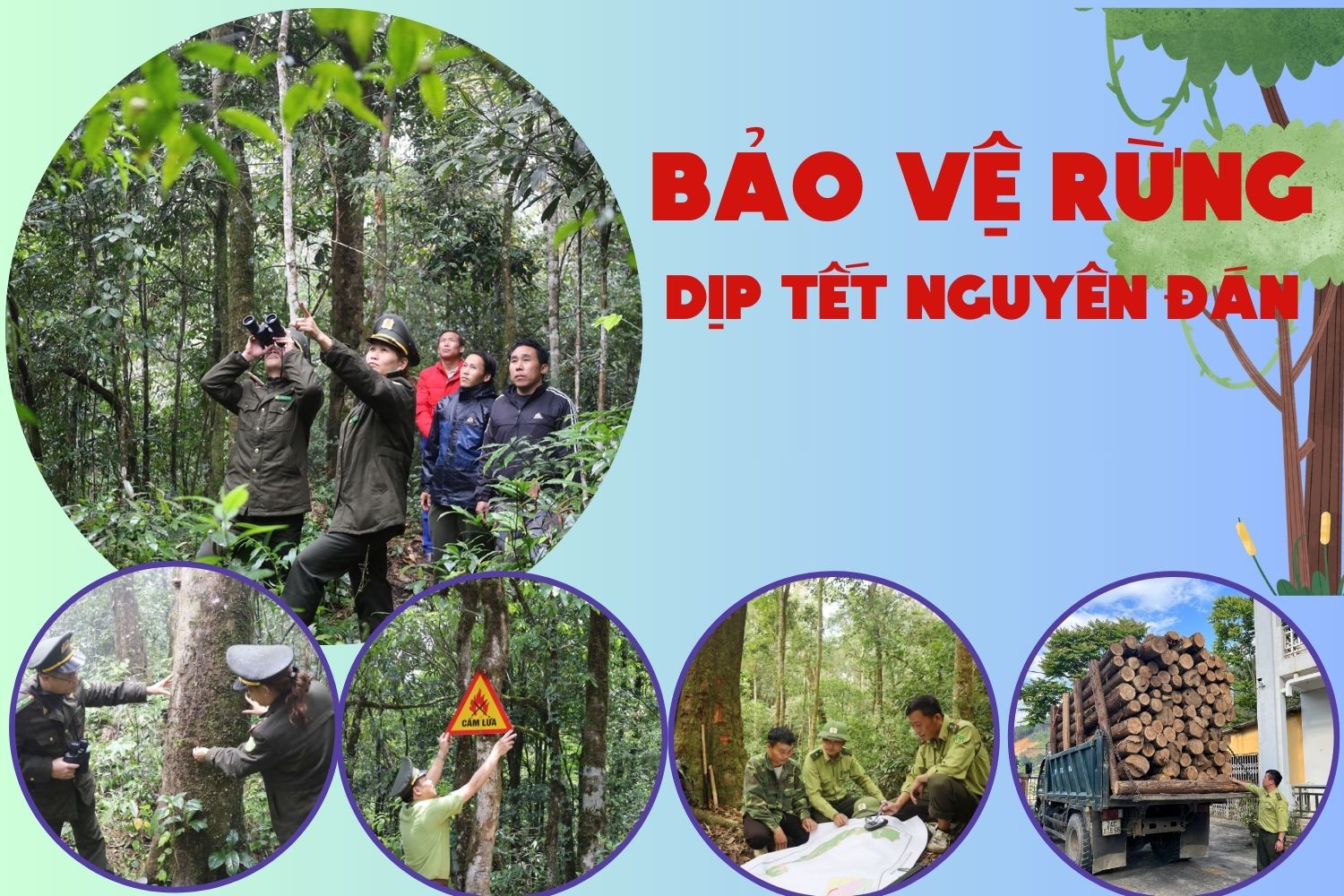 Bảo vệ rừng dịp tết Nguyên đán