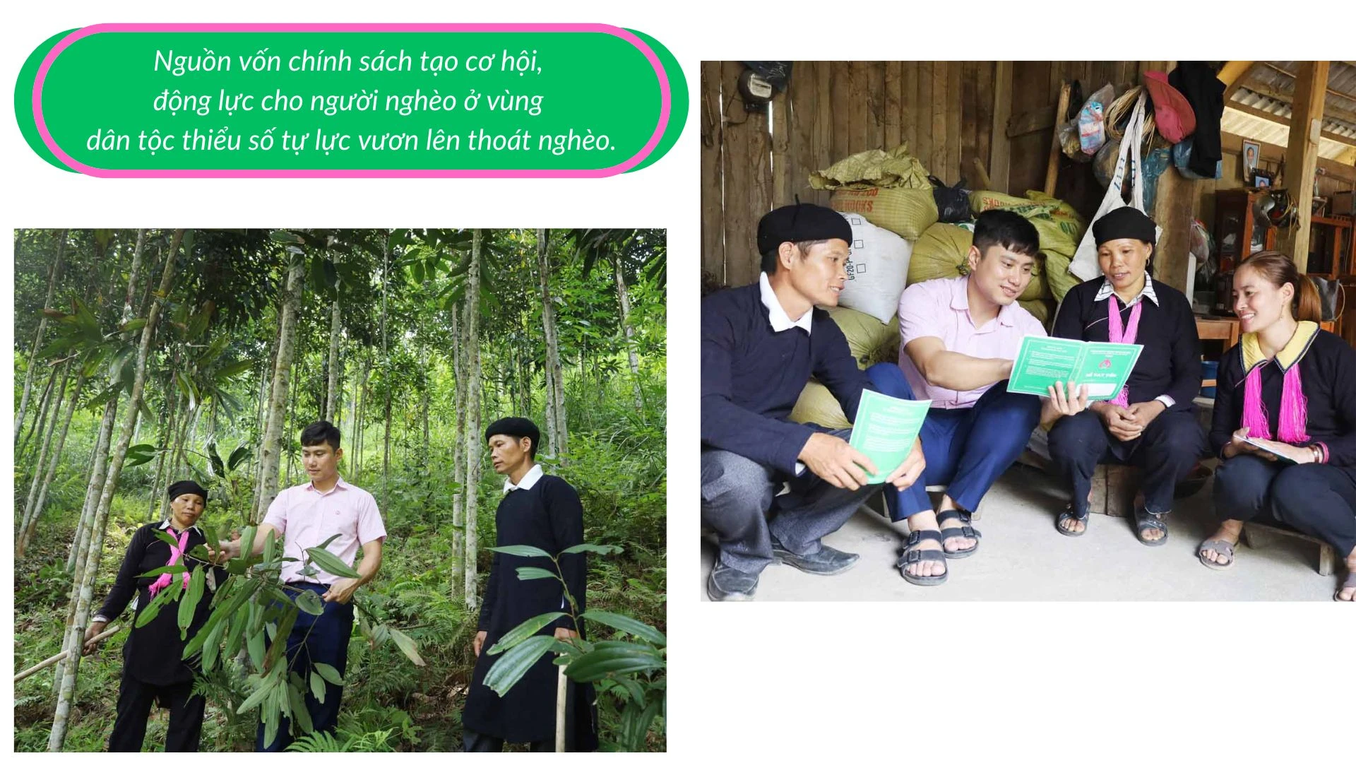 Thái Niên Nhiều giải pháp giảm nghèo bền vững.jpg