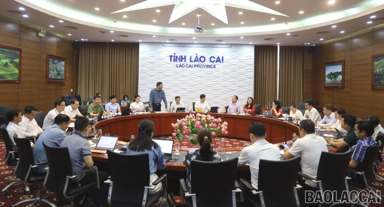 baolaocai_4.jpg