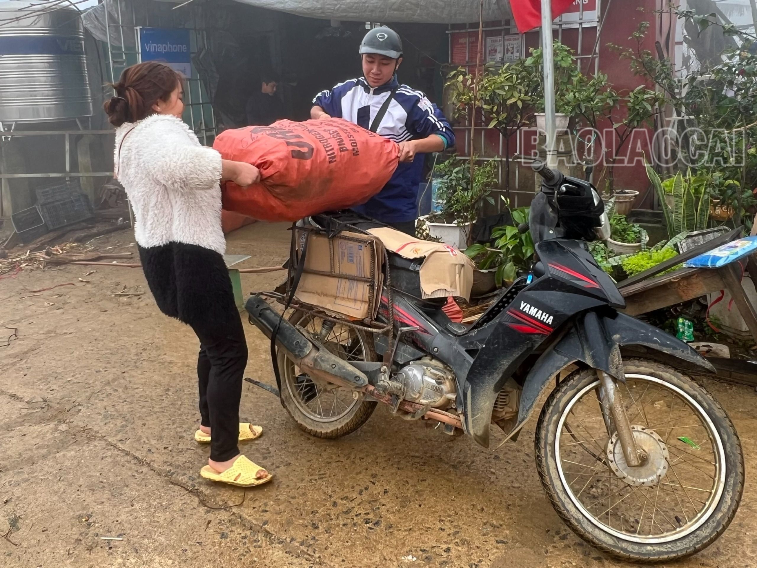 Mấy năm gần đây, măng sặt trở thành đặc sản, được thị trường trong và ngoài tỉnh ưa chuộng, góp phần nâng cao thu nhập cho người dân xã Dần Thàng. 7.jpg