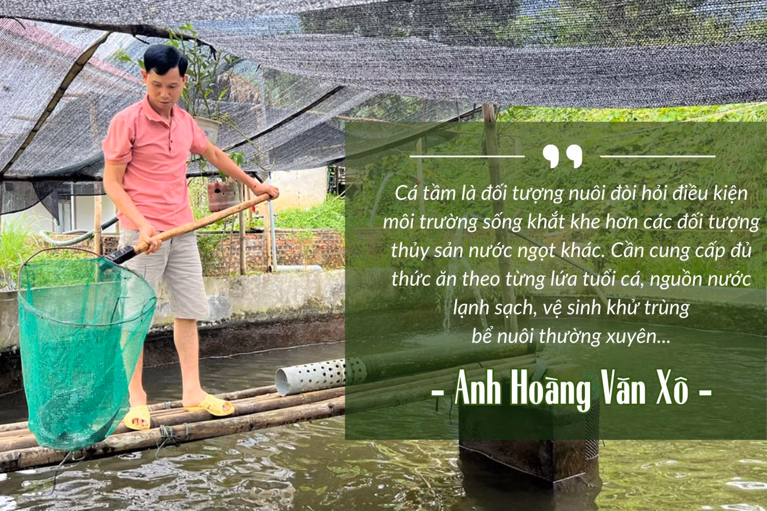 Phát triển nuôi cá “nhà giàu” ở Phúc Khánh.jpg