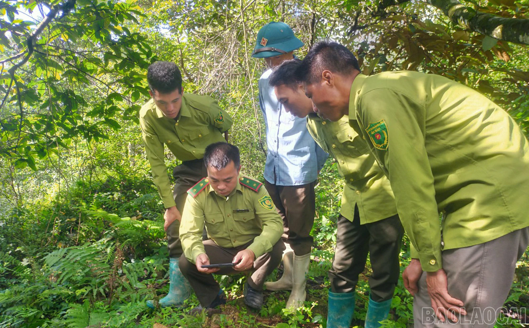 Vừa tuần tra rừng, cán bộ kiểm lâm Khu Bảo tồn thiên nhiên Hoàng Liên - Văn Bàn vừa tranh thủ theo dõi lễ tang Tổng Bí thư trên điện thoại.