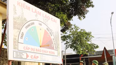 Tăng cường bảo vệ rừng trước nguy cơ cháy cao